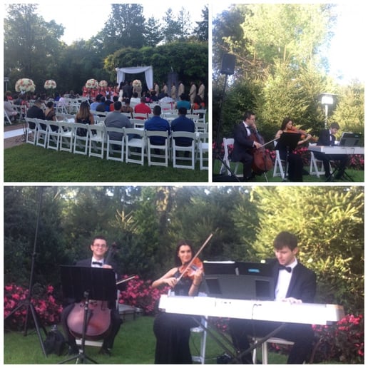 Gallery photo 78 of VSmusic4u Wedding & Event Musicians