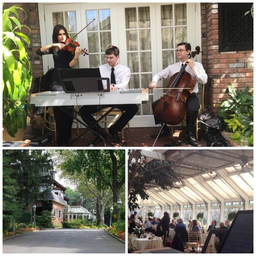 Gallery photo 40 of VSmusic4u Wedding & Event Musicians