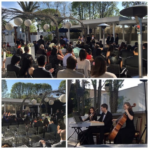 Gallery photo 47 of VSmusic4u Wedding & Event Musicians