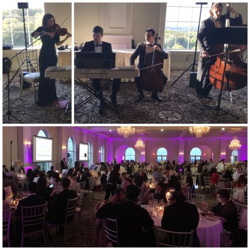 Gallery photo 49 of VSmusic4u Wedding & Event Musicians