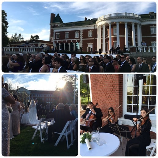 Gallery photo 33 of VSmusic4u Wedding & Event Musicians