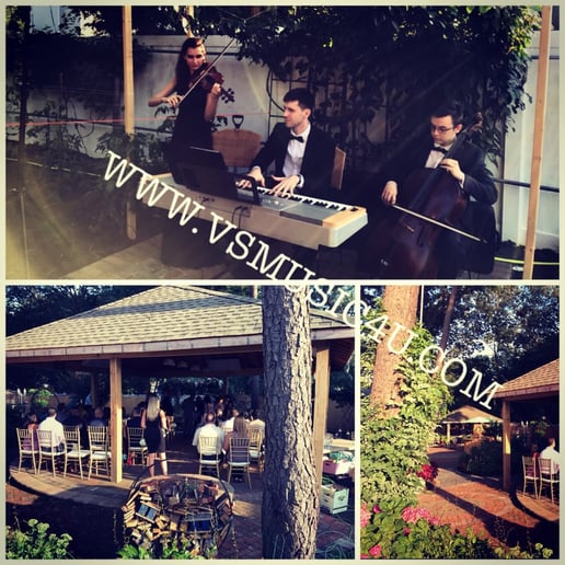 Gallery photo 44 of VSmusic4u Wedding & Event Musicians