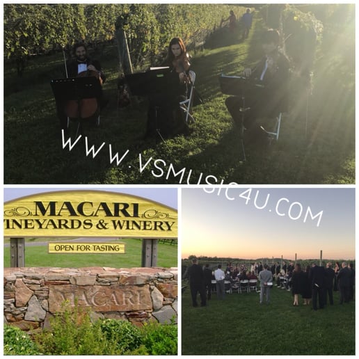 Gallery photo 28 of VSmusic4u Wedding & Event Musicians