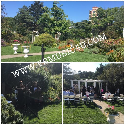 Gallery photo 45 of VSmusic4u Wedding & Event Musicians