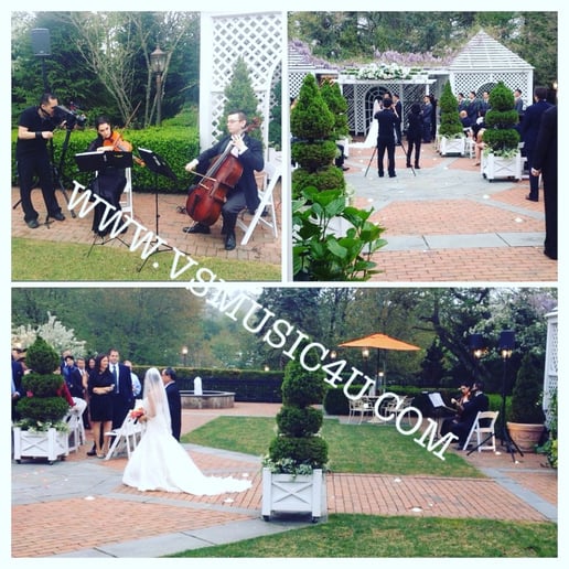 Gallery photo 16 of VSmusic4u Wedding & Event Musicians