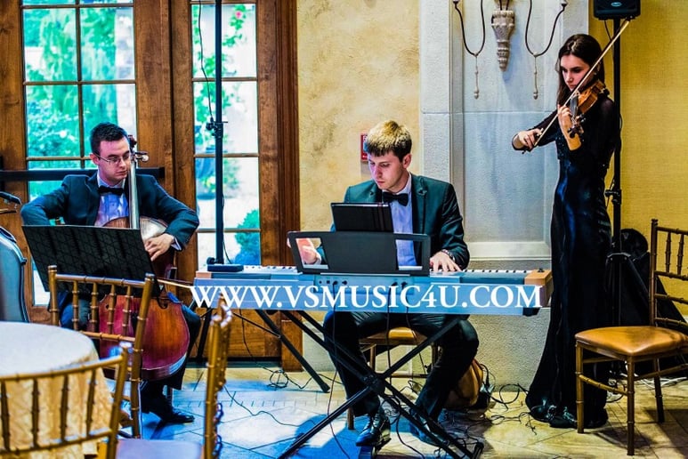 Gallery photo 2 of VSmusic4u Wedding & Event Musicians