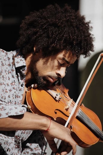 Gallery photo 2 of Waelviolin