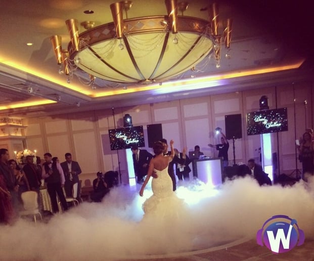 Gallery photo 5 of Waistline Entertainment