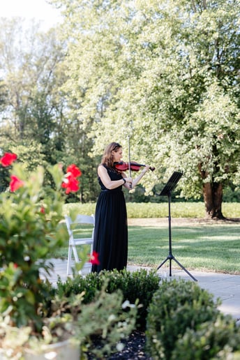 Gallery photo 18 of Wake Forest Violin