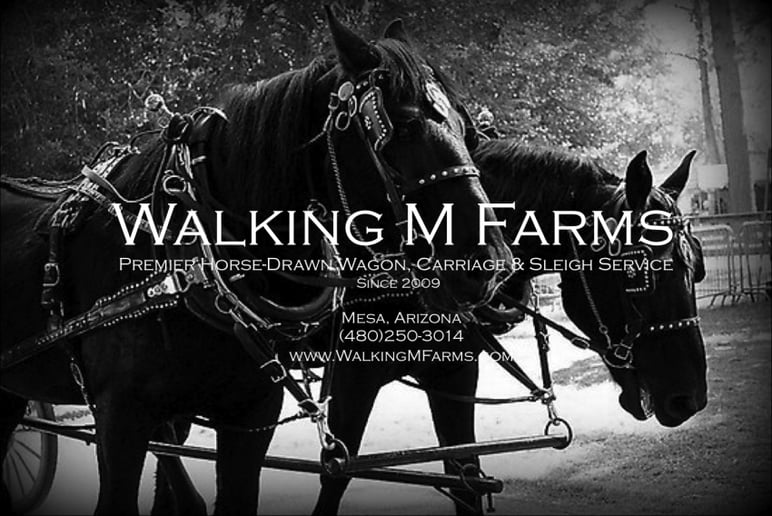 Gallery photo 2 of Walking M Farms