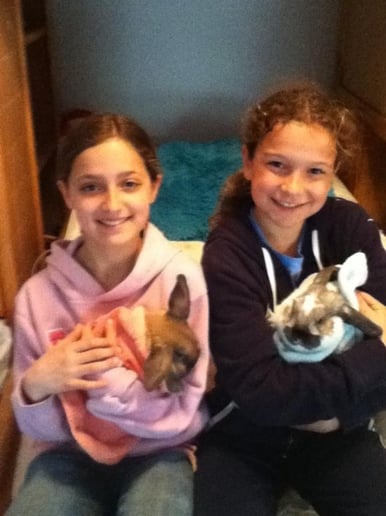Gallery photo 1 of Warm and Fuzzy Animal Adventures