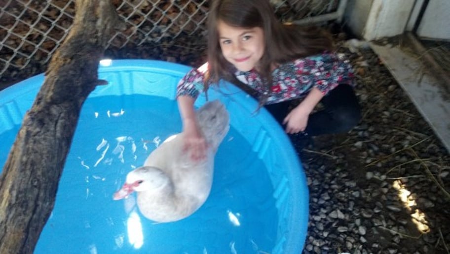 Gallery photo 2 of Warm and Fuzzy Animal Adventures