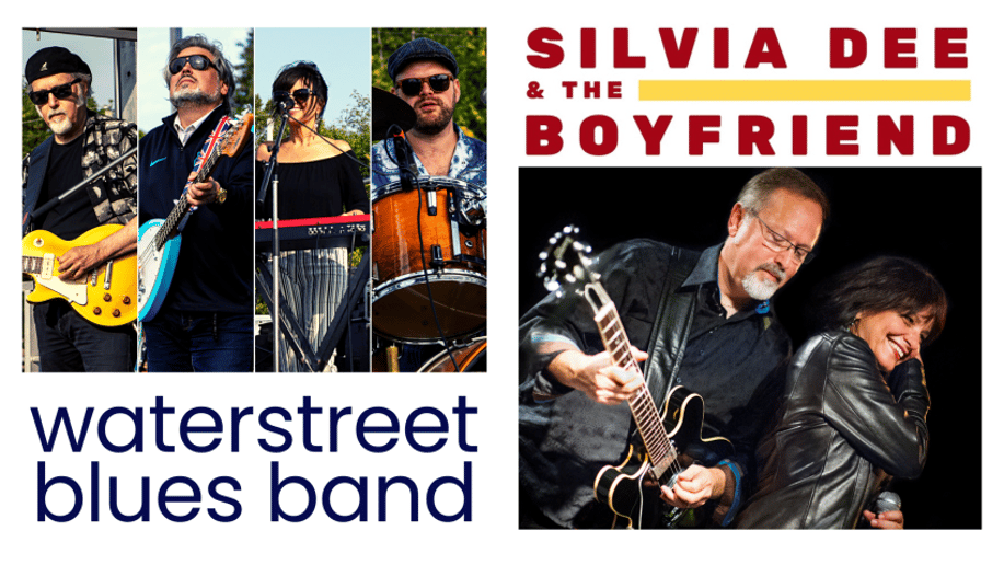 Gallery photo 4 of Waterstreet Blues Band
