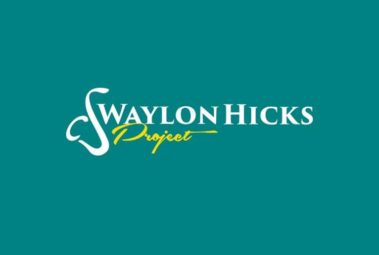 Gallery photo 5 of Waylon Hicks Project