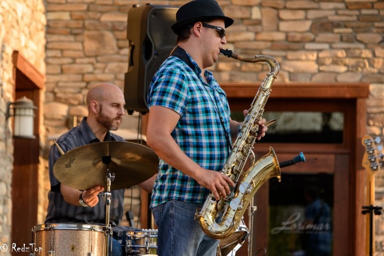 Gallery photo 2 of Waylon Hicks Project