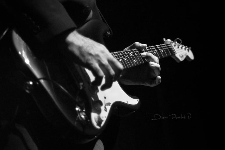 Gallery photo 5 of Wayne Baker Brooks
