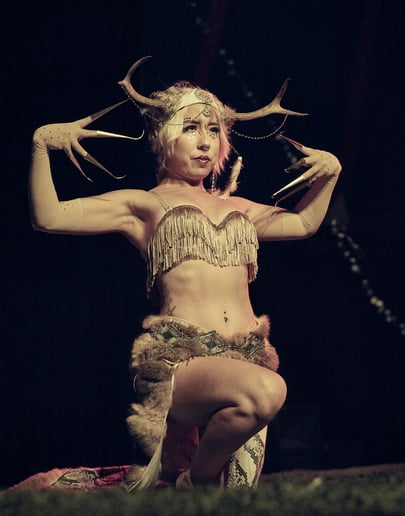 Gallery photo 3 of Wayward Pixie Entertainment
