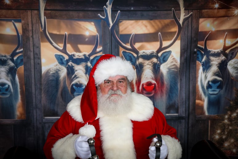 Gallery photo 10 of Santa Bear & Mrs. Goldie Claus