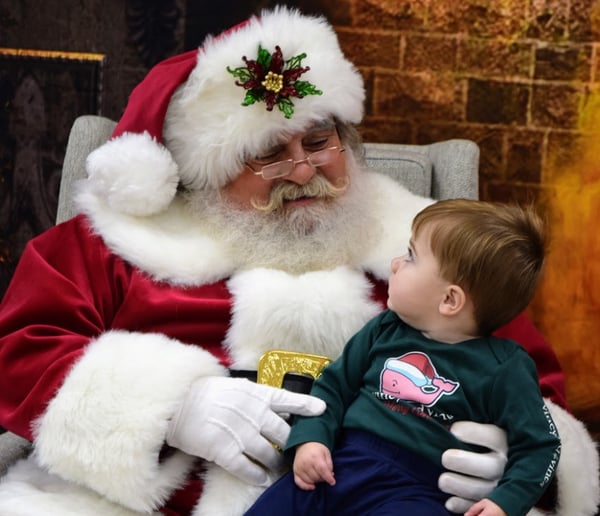 Gallery photo 13 of Santa Bear & Mrs. Goldie Claus