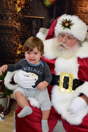 Gallery photo 14 of Santa Bear & Mrs. Goldie Claus
