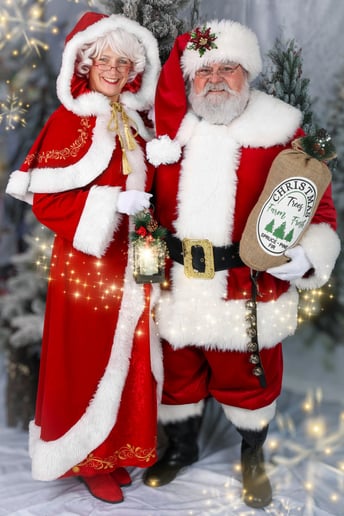 Gallery photo 1 of Santa Bear & Mrs. Goldie Claus