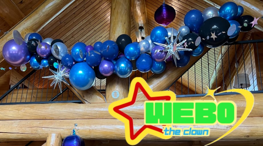 Gallery photo 5 of Webo The Clown