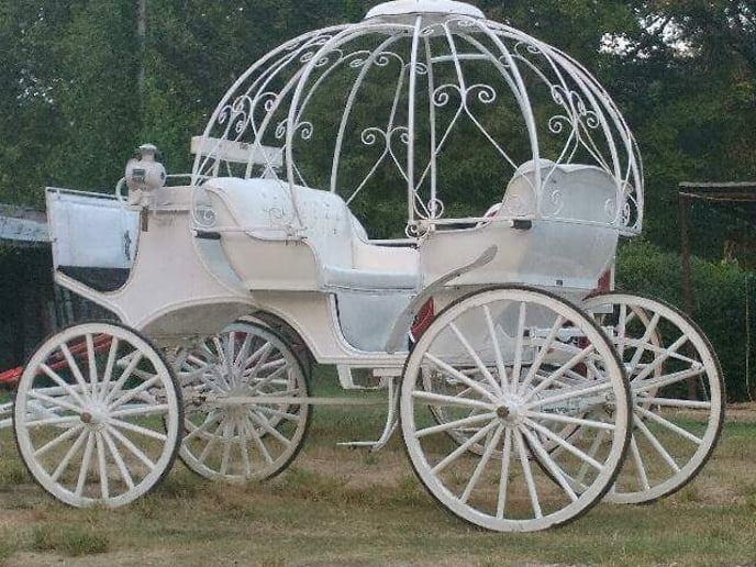 Gallery photo 8 of Wedding Carriage and Funeral Hearse