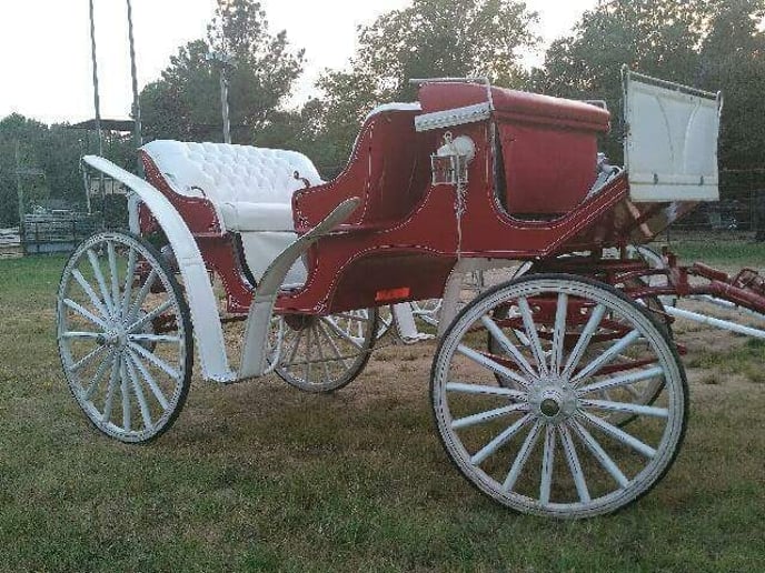 Gallery photo 9 of Wedding Carriage and Funeral Hearse