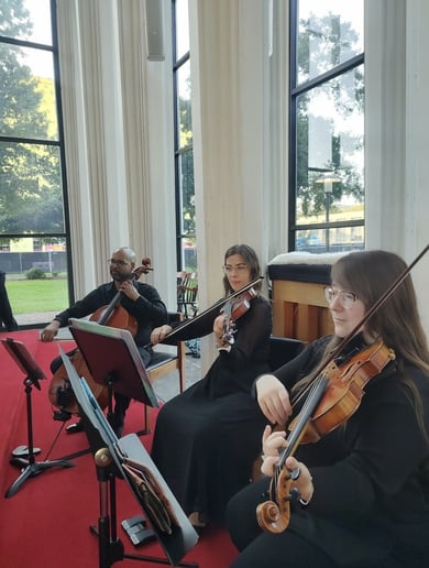 Gallery photo 7 of Shayna - Wedding & Event Violinist & Violist