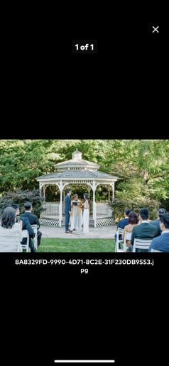 Gallery photo 5 of Wedding Officiant Minister Washington