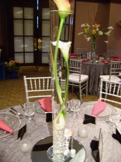 Gallery photo 4 of Wedding Productions CLT