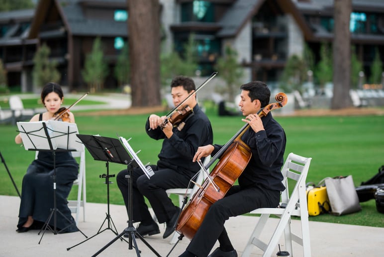 Gallery photo 1 of Blue Forest Strings
