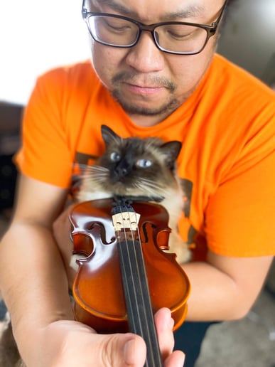 Gallery photo 5 of Blue Forest Strings