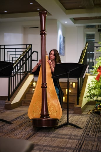 Gallery photo 2 of Wedding & Special Event Musician