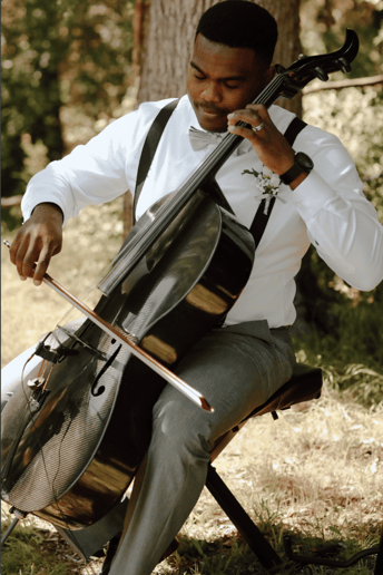 Gallery photo 5 of Dion Perinon's Cello Services