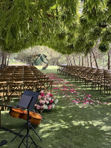 Gallery photo 4 of Wedding & Event Violinist - Yiran Yao