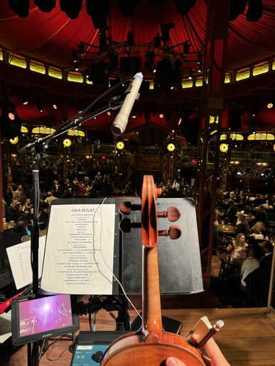 Gallery photo 6 of Wedding & Event Violinist - Yiran Yao