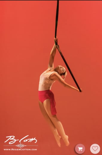 Gallery photo 8 of Weightless Aerial Company