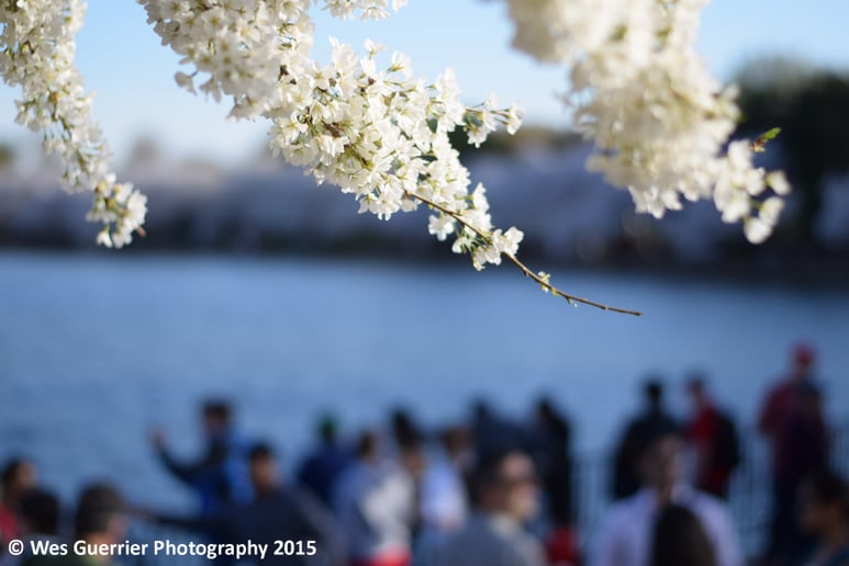Gallery photo 3 of Wes Guerrier Photography