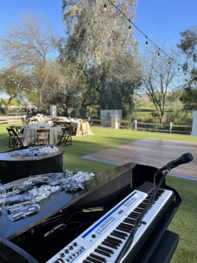 Gallery photo 6 of Wes Ringel - "Arizona's Piano Man"