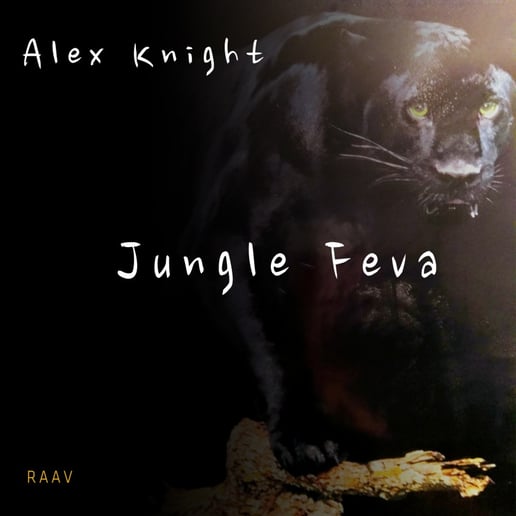 Gallery photo 2 of RAAV Records Recording Artist, Alex Knight