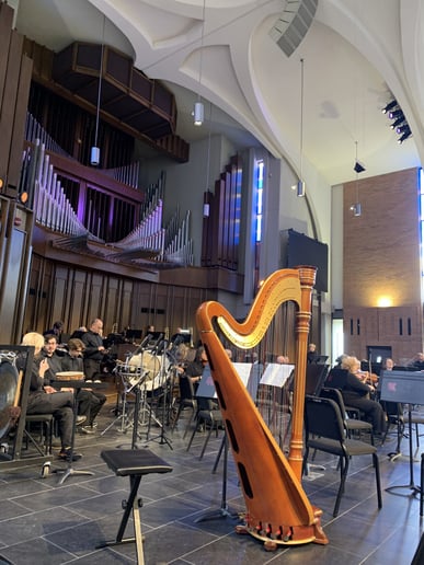 Gallery photo 8 of Where The Harp Is