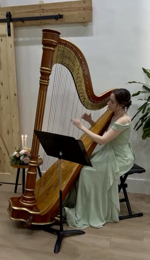 Gallery photo 4 of Where The Harp Is