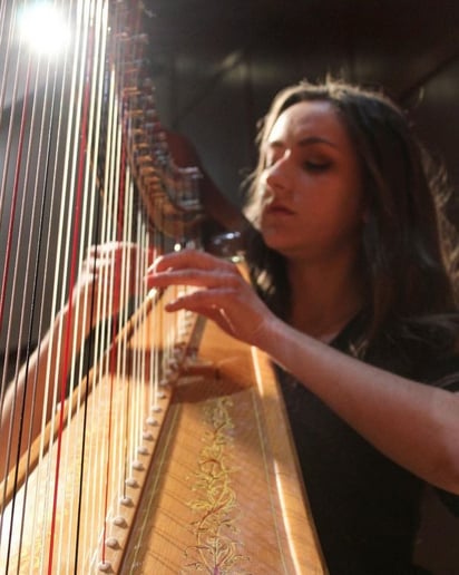 Gallery photo 10 of Where The Harp Is