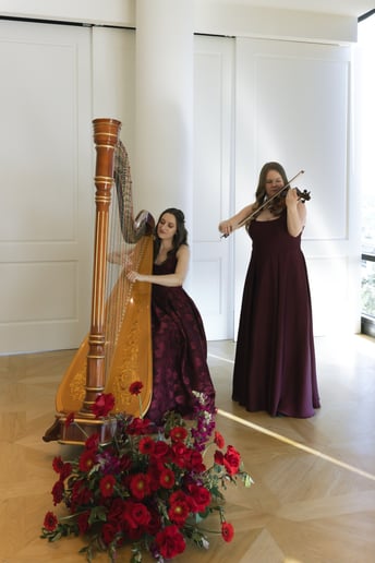 Gallery photo 9 of Where The Harp Is