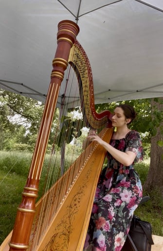 Gallery photo 10 of Where The Harp Is