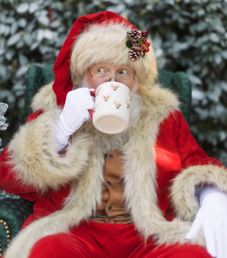 Gallery photo 1 of Whimsical Santa