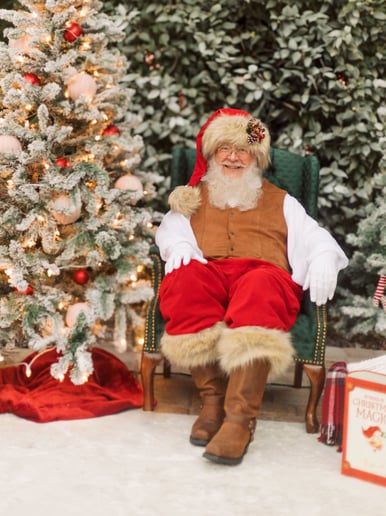 Gallery photo 4 of Whimsical Santa