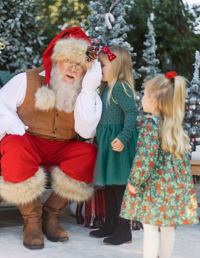 Gallery photo 5 of Whimsical Santa