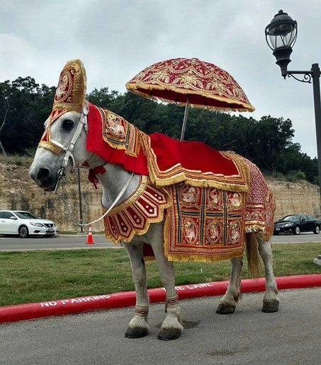 Gallery photo 7 of White Horse and Carriage Company